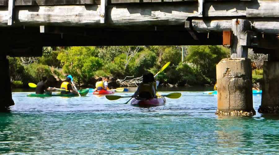 Go Sea Kayak Brunswick Heads River Tour