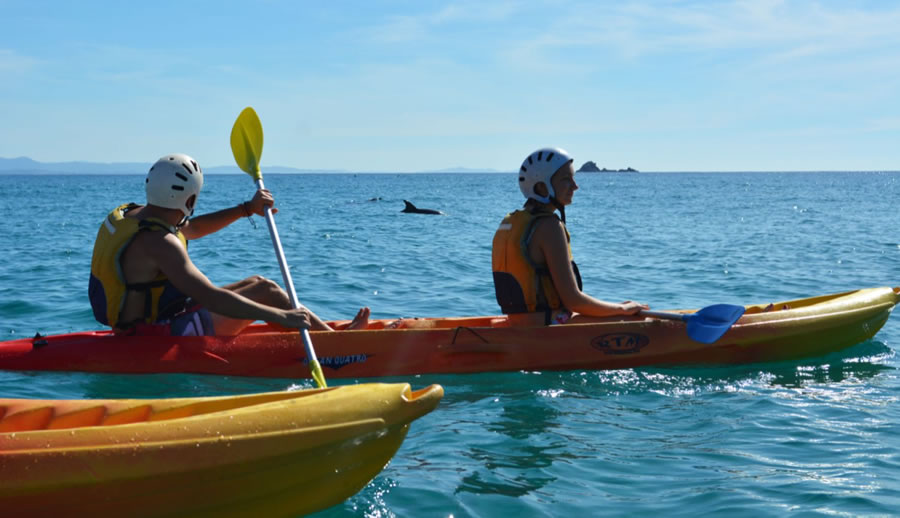 Immersed in Byron Bay - Kayak with dolphins