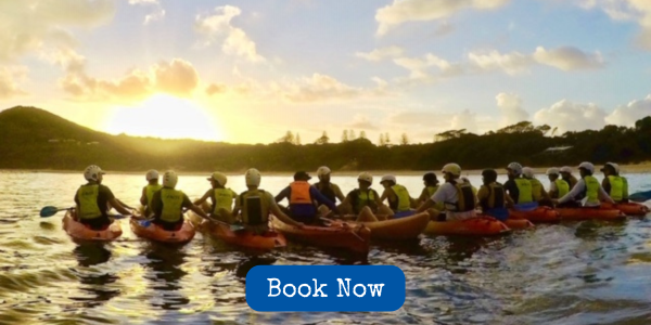Sunrise Byron Bay Ocean Kayak Tour - Experience our GOLD Award Winning Guided Kayak tours at sunrise in Byron Bay - see dolphins, turtles and whales - book now